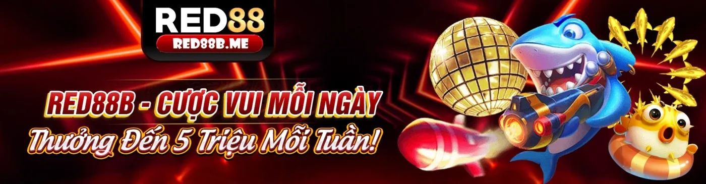 Hình ảnh chính blog king88vi