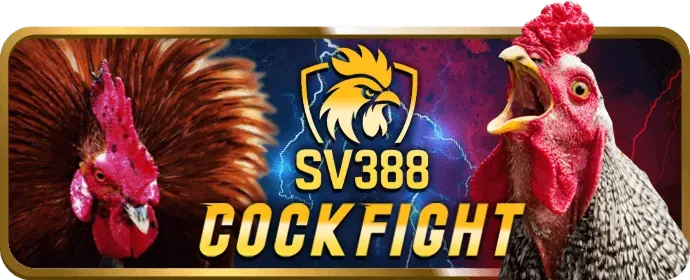 Cá cược thể thao king88vi